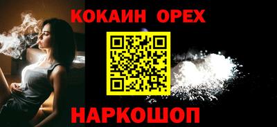 бошки Кингисепп