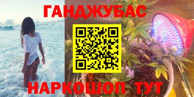 бошки Кингисепп