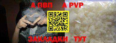 бошки Кингисепп