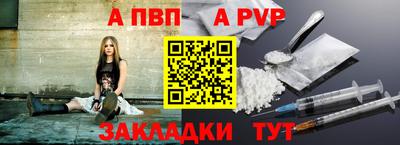 бошки Кингисепп